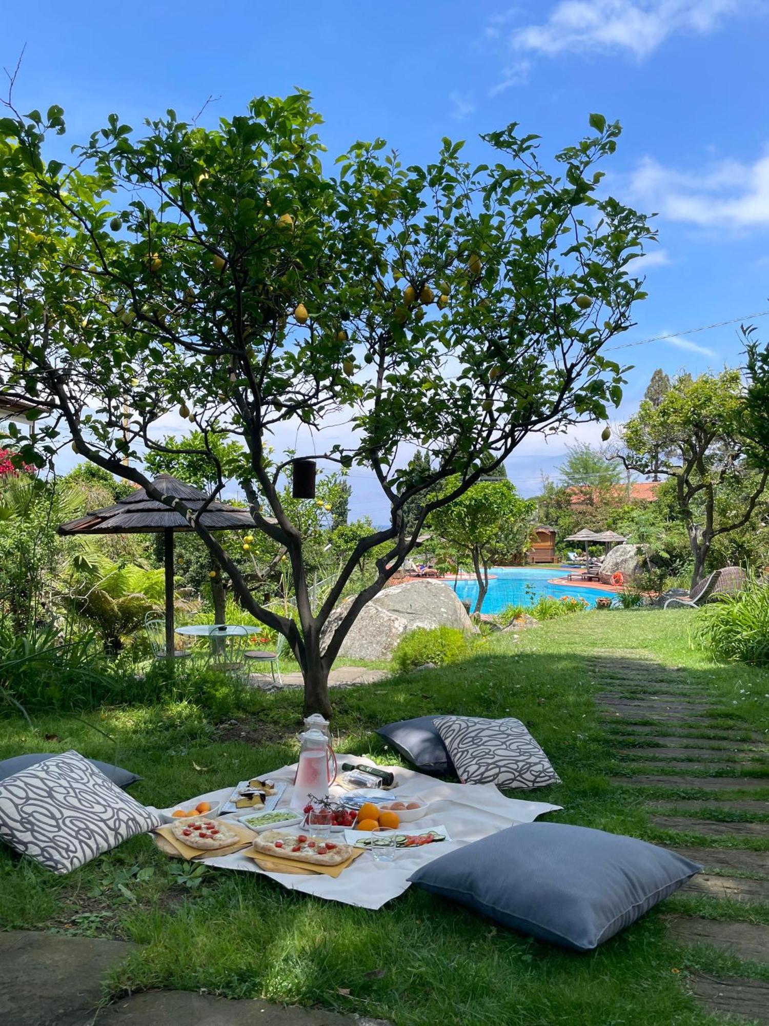 Hotel Cernia Isola Botanica Сант'Андреа Екстер'єр фото